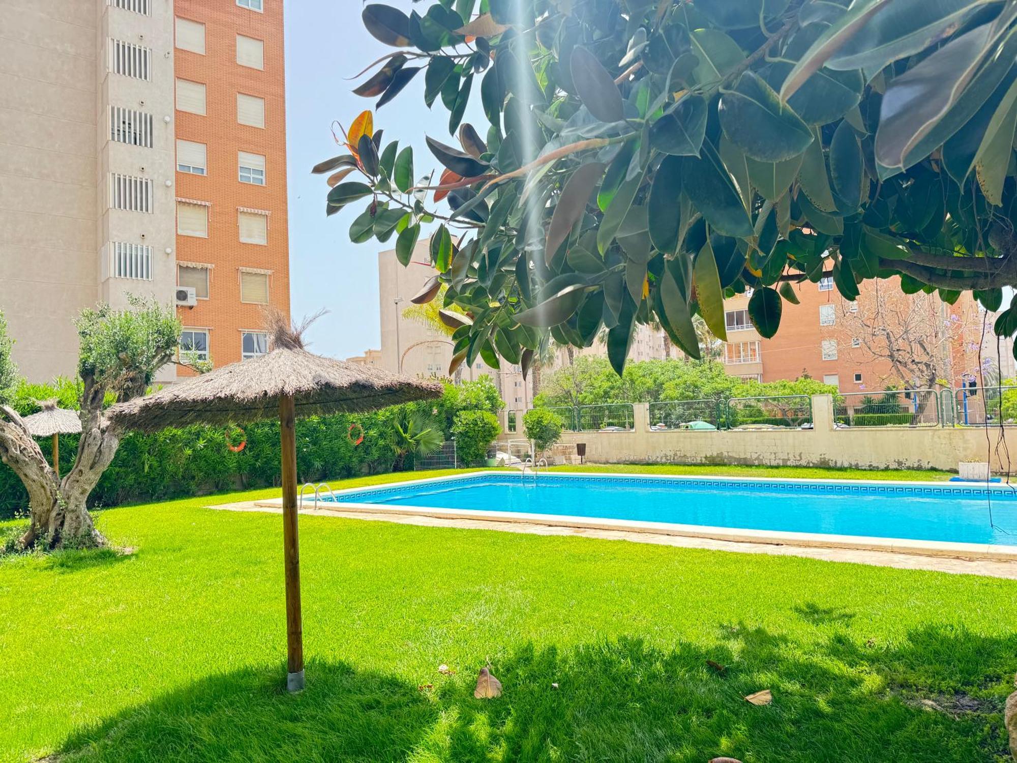 Estudio Con Piscina Αλικάντε Εξωτερικό φωτογραφία