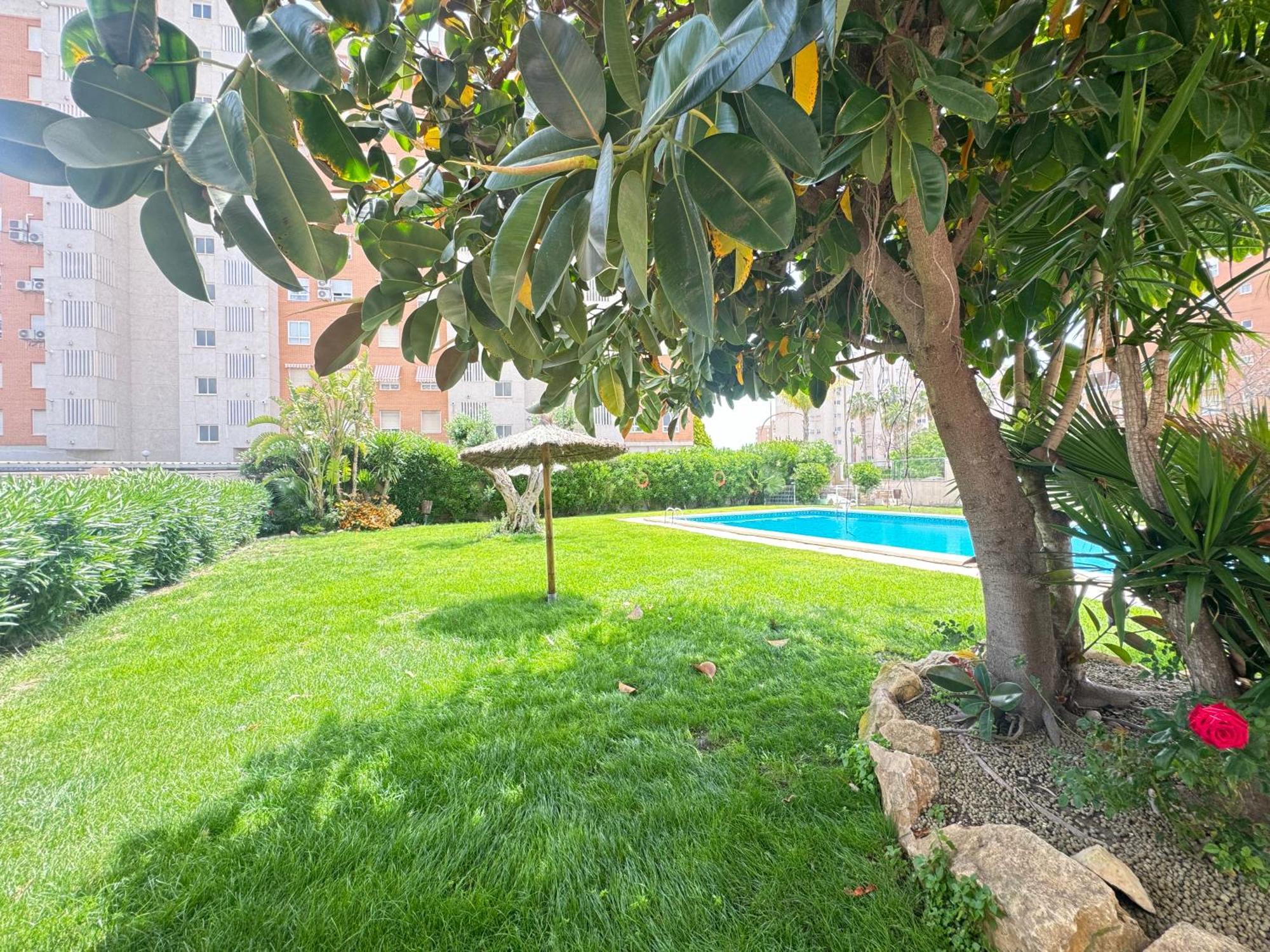Estudio Con Piscina Αλικάντε Εξωτερικό φωτογραφία